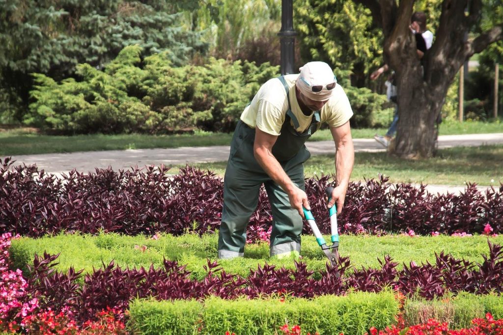 Professionele hovenier in Roermond ontwerpt en onderhoudt een prachtige groene tuin met inheemse planten en duurzame material
